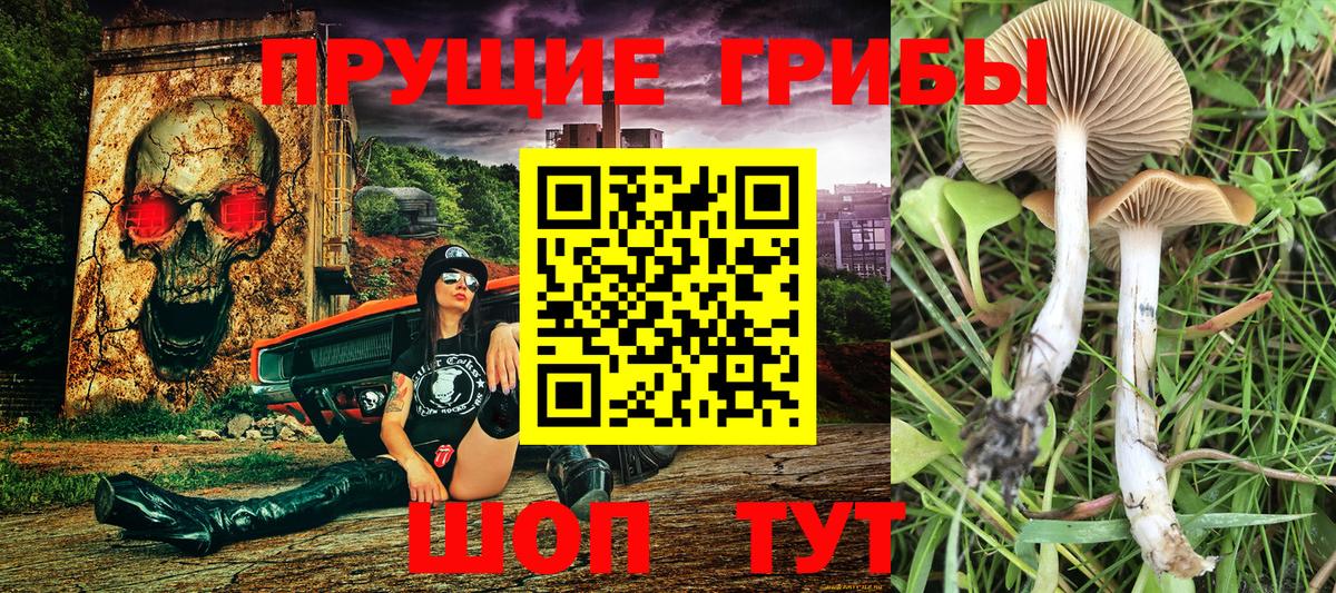 Псилоцибиновые грибы мухоморы Ахтубинск