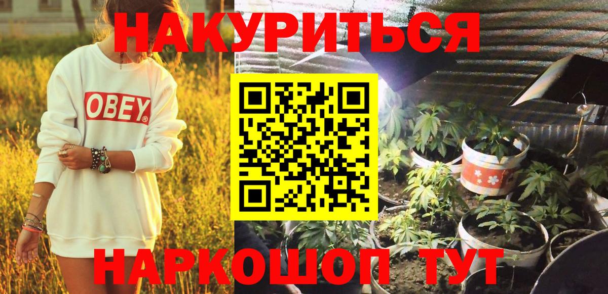 Шишки марихуана LSD WEED  Канабис THC 21%  Вход с VPN  Бошки Шишки тримм  Ахтубинск 